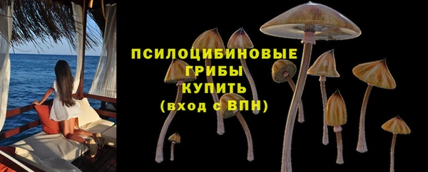 кокс Алзамай