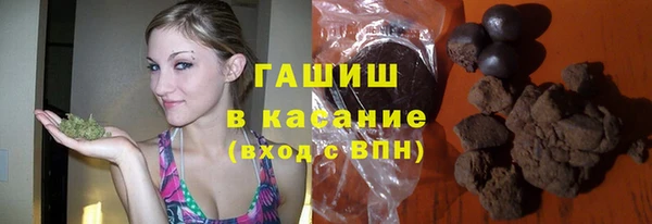 гашик Алексин
