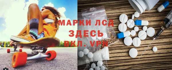 гашик Алексин