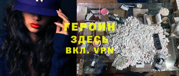 гашик Алексин