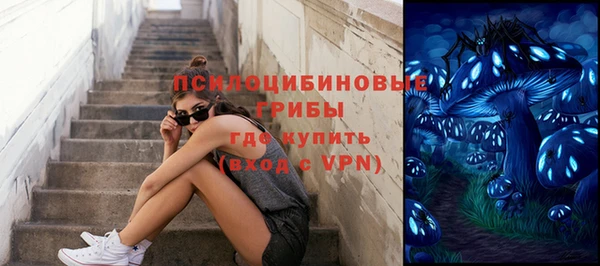 гашик Алексин
