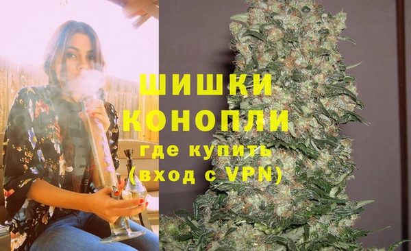 гашик Алексин