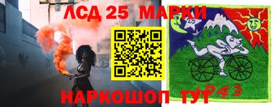 шишки Новокубанск