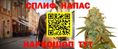 jwh Новозыбков
