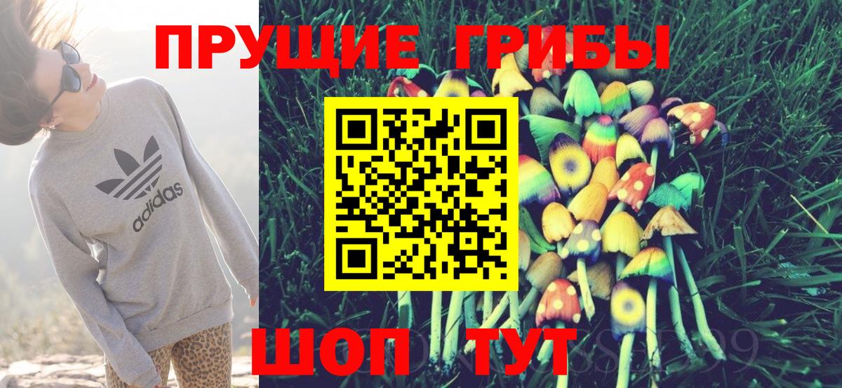 Псилоцибиновые грибы Psilocybe Арсеньев